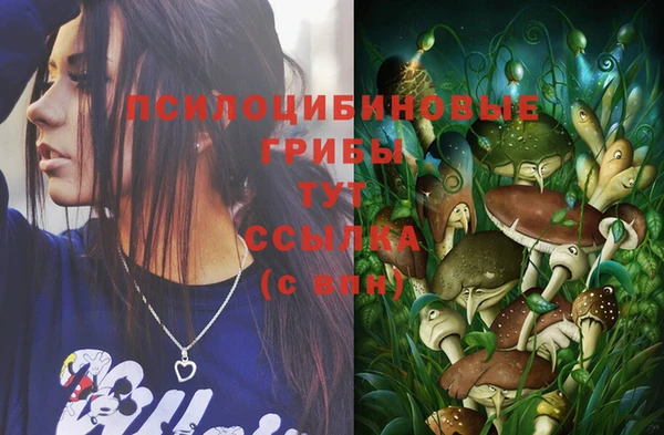 не бодяженный Снежногорск