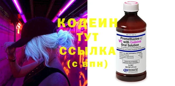 не бодяженный Снежногорск