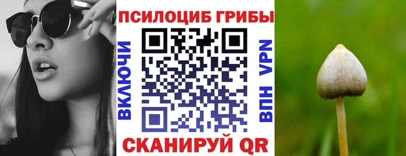 Галлюциногенные грибы Psilocybe  Холмск 